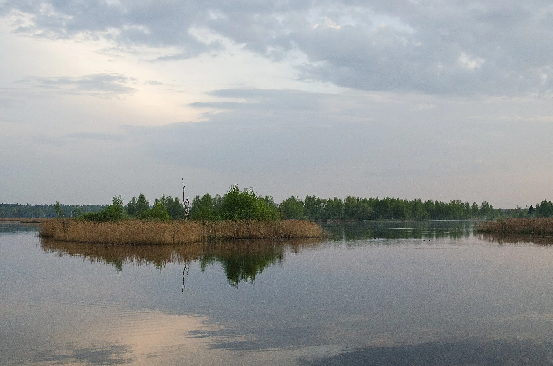 Torfyanka lake