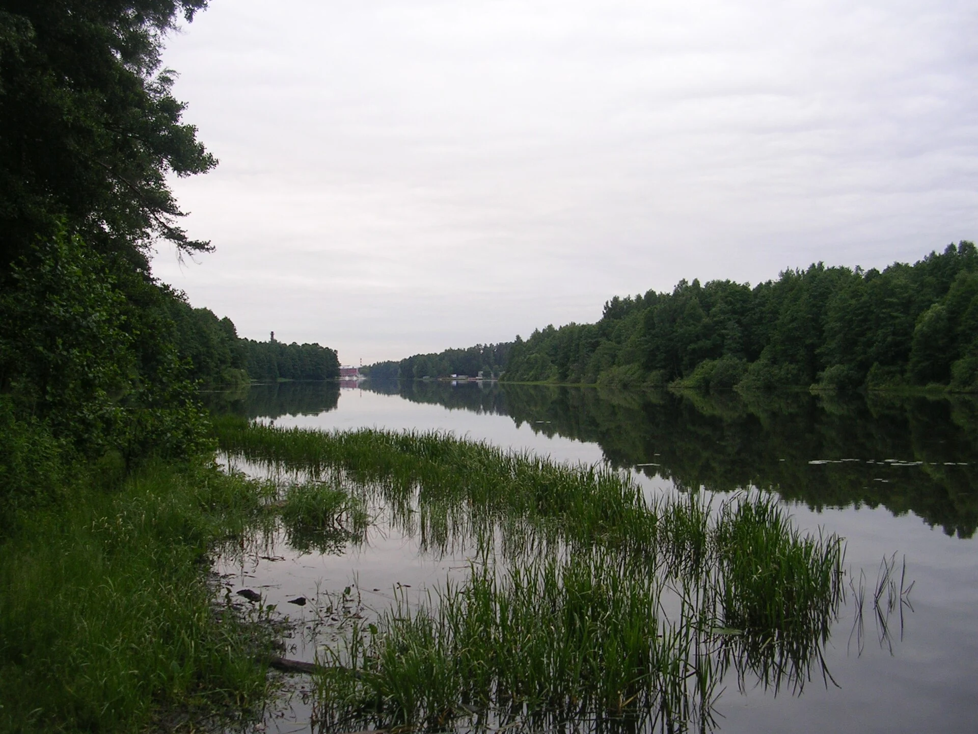 Chernogolovsky pond in july, view to Gluhovo from north part.