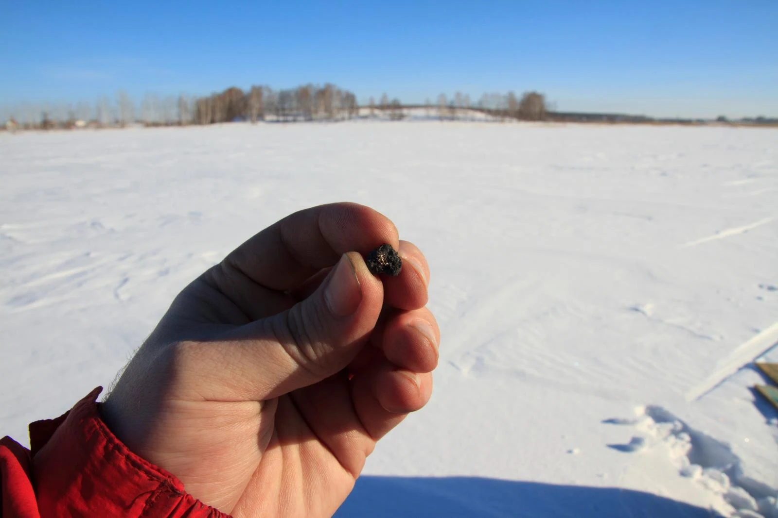 Chebarkul meteorite sample found by Ural Federal University scientists at Chebarkul lake after 2013 Russian meteor event