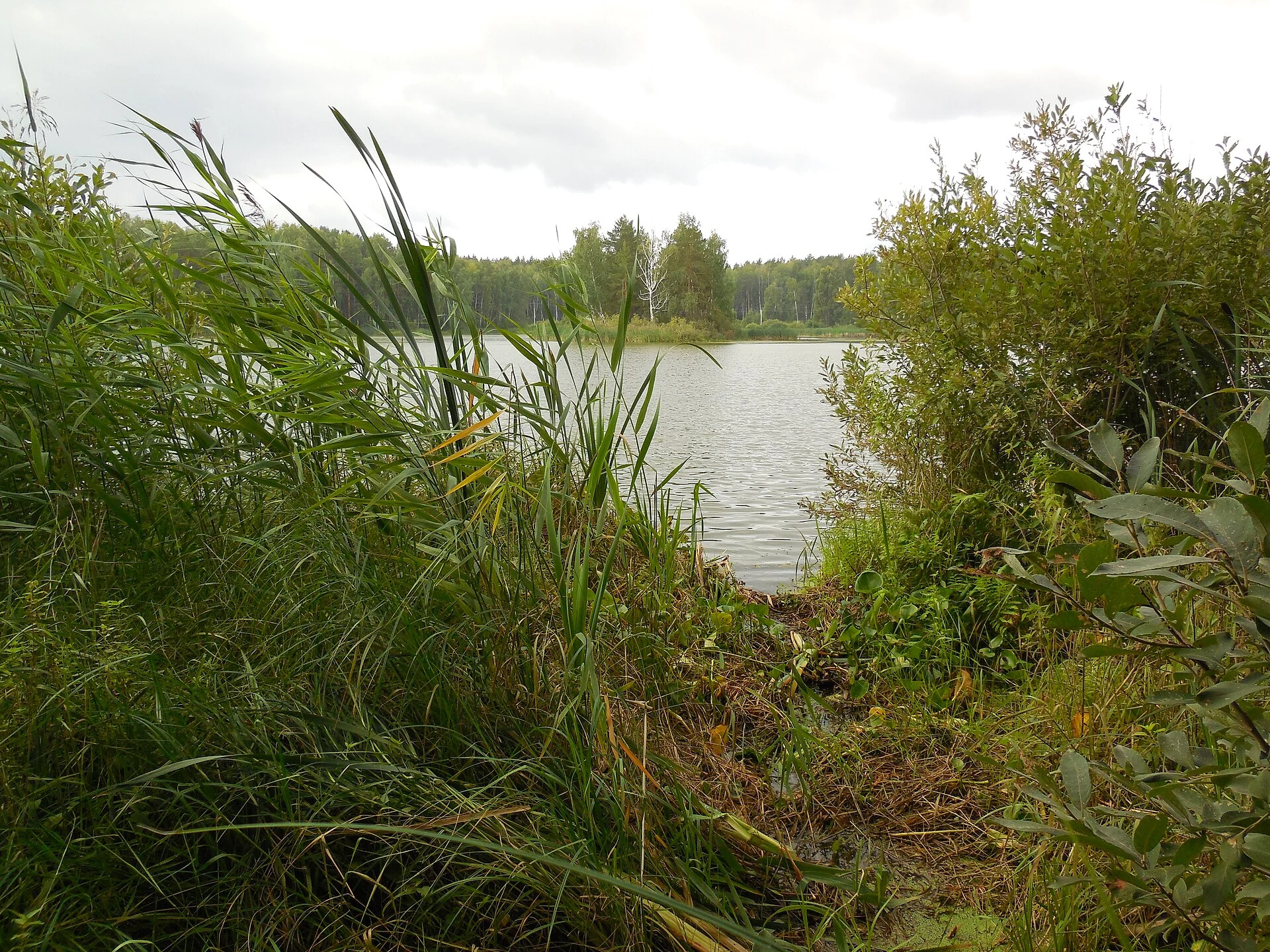 Lake Silach