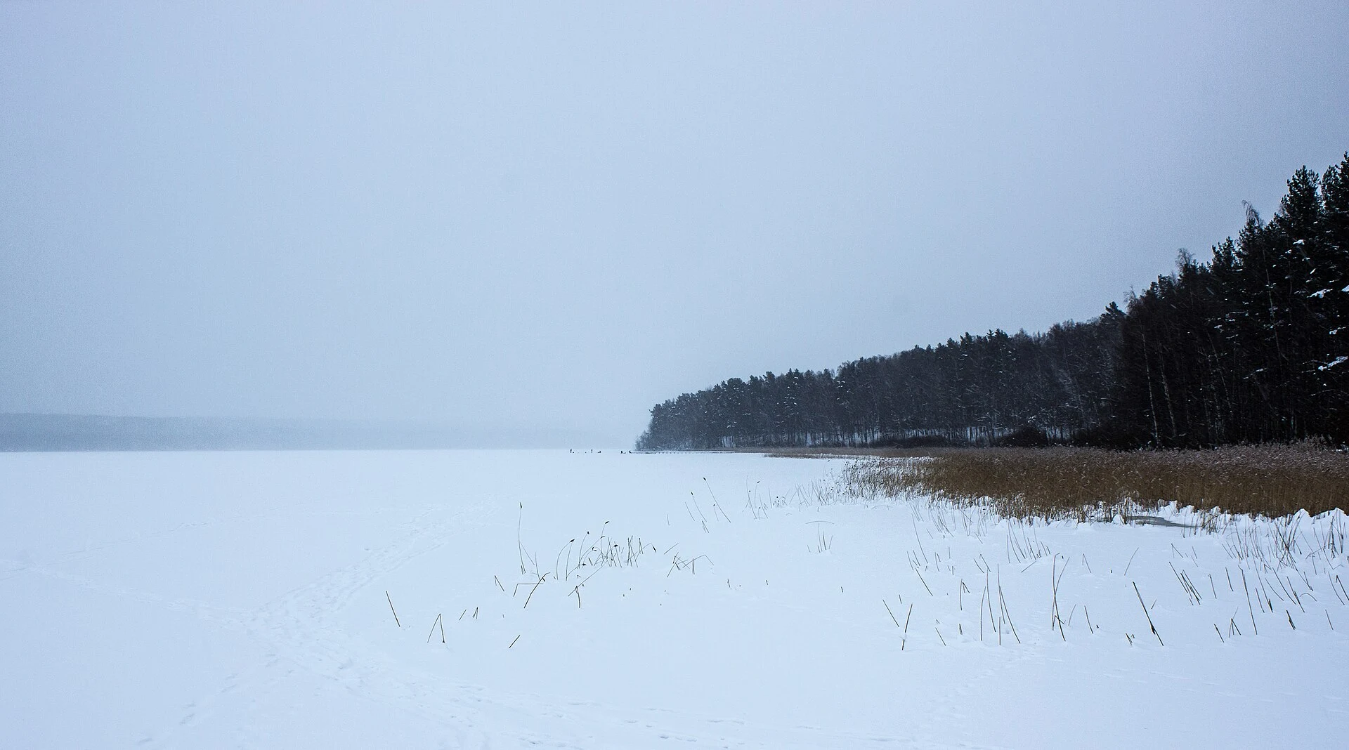Sukhodolskoe lake / Суходольское озеро, зима