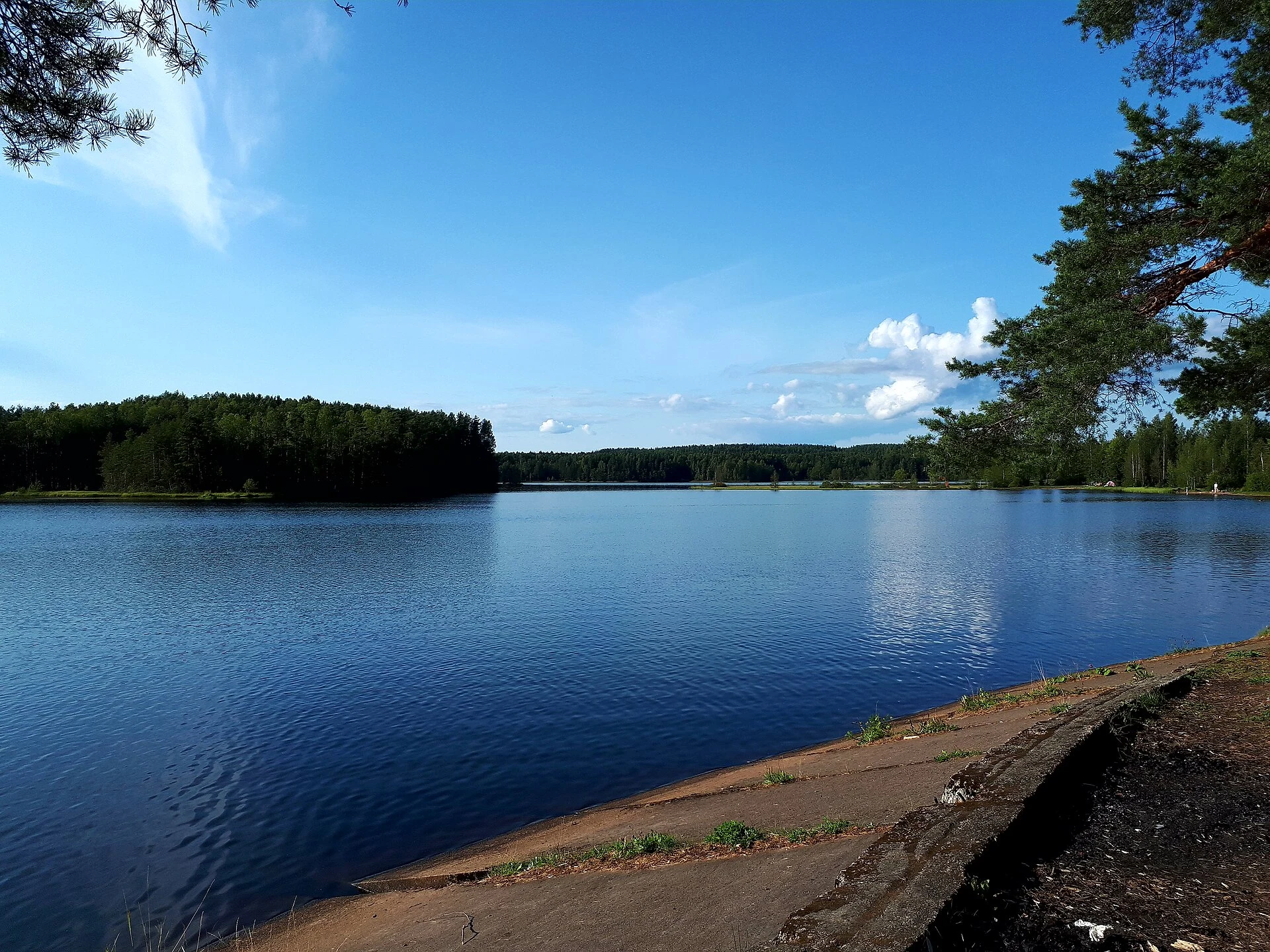 Mednyy Zavod - Chernaya River: the valley of the river. Chernaya and Harvazi ruch'ya (Ohta) to the north-west of the village Mednyy Zavod, including swamps, lakes Svetloye, Pastora, Lampiyarvi, Nakhtolovskoe, Mednozavodsky Razliv, Vsevolozhsk district, Le