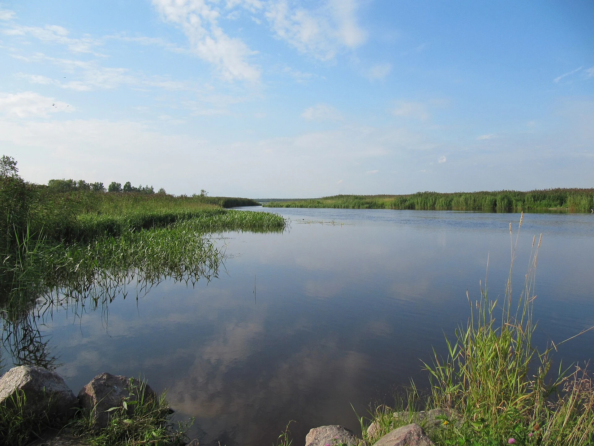 Лахтинский разлив