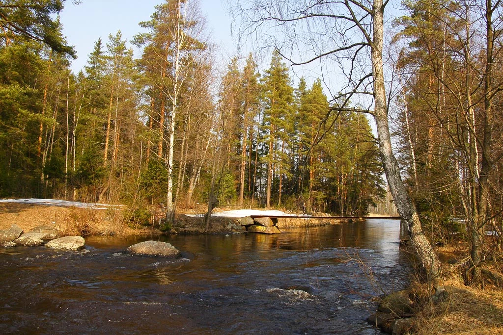 channel between lakes Gubanovskoe &amp; Sokolinoe
