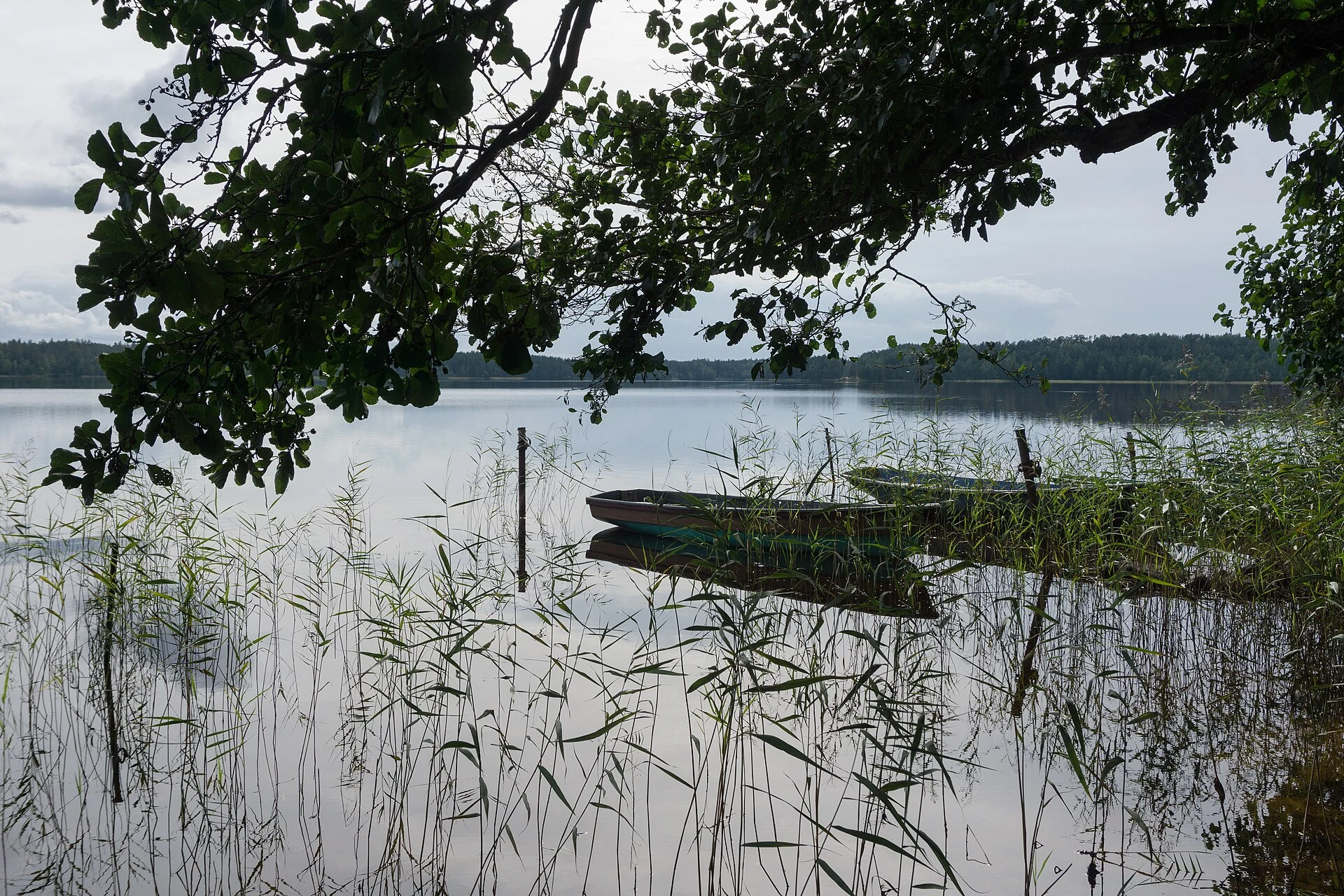 Gorovaldayskoe Lake, Shepelevo, Leningrad Oblast, Russia