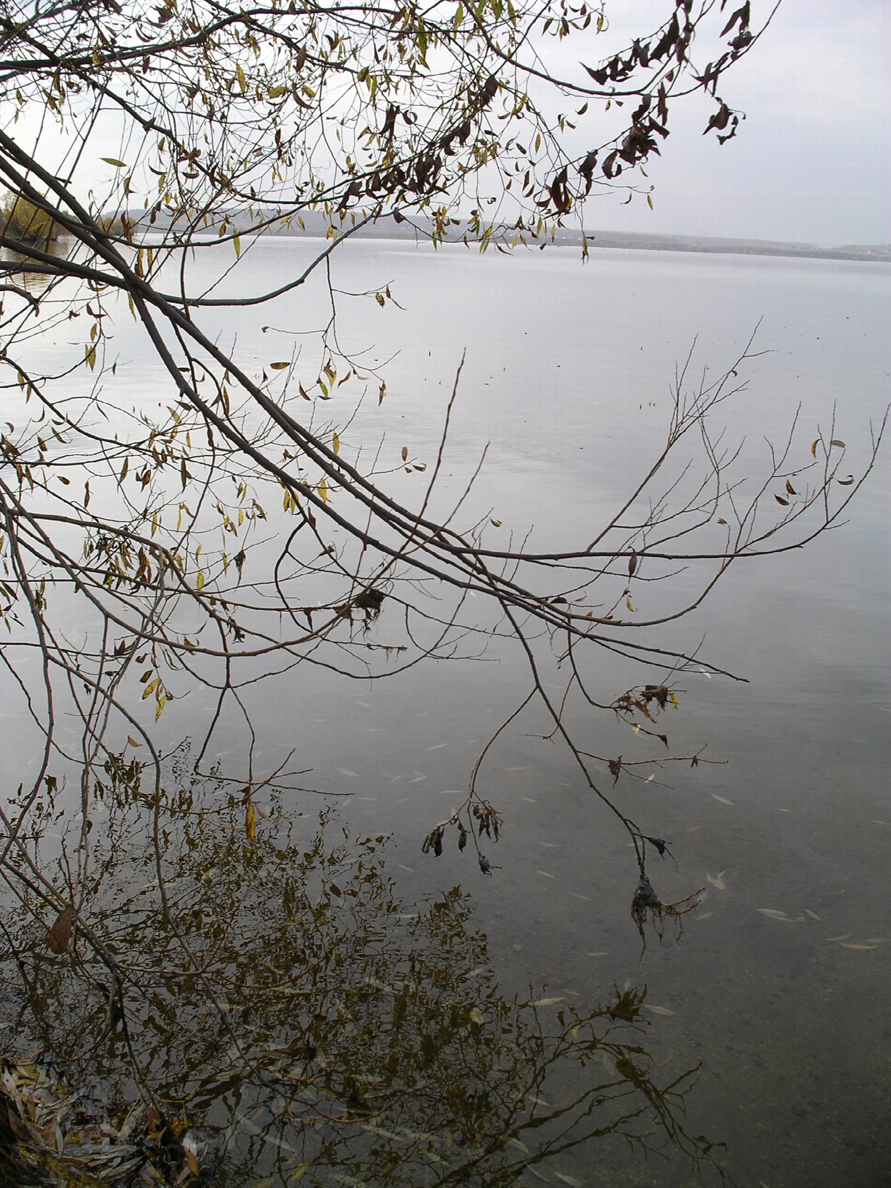 Tsentralnyy rayon, Chelyabinsk, Chelyabinskaya oblast', Russia