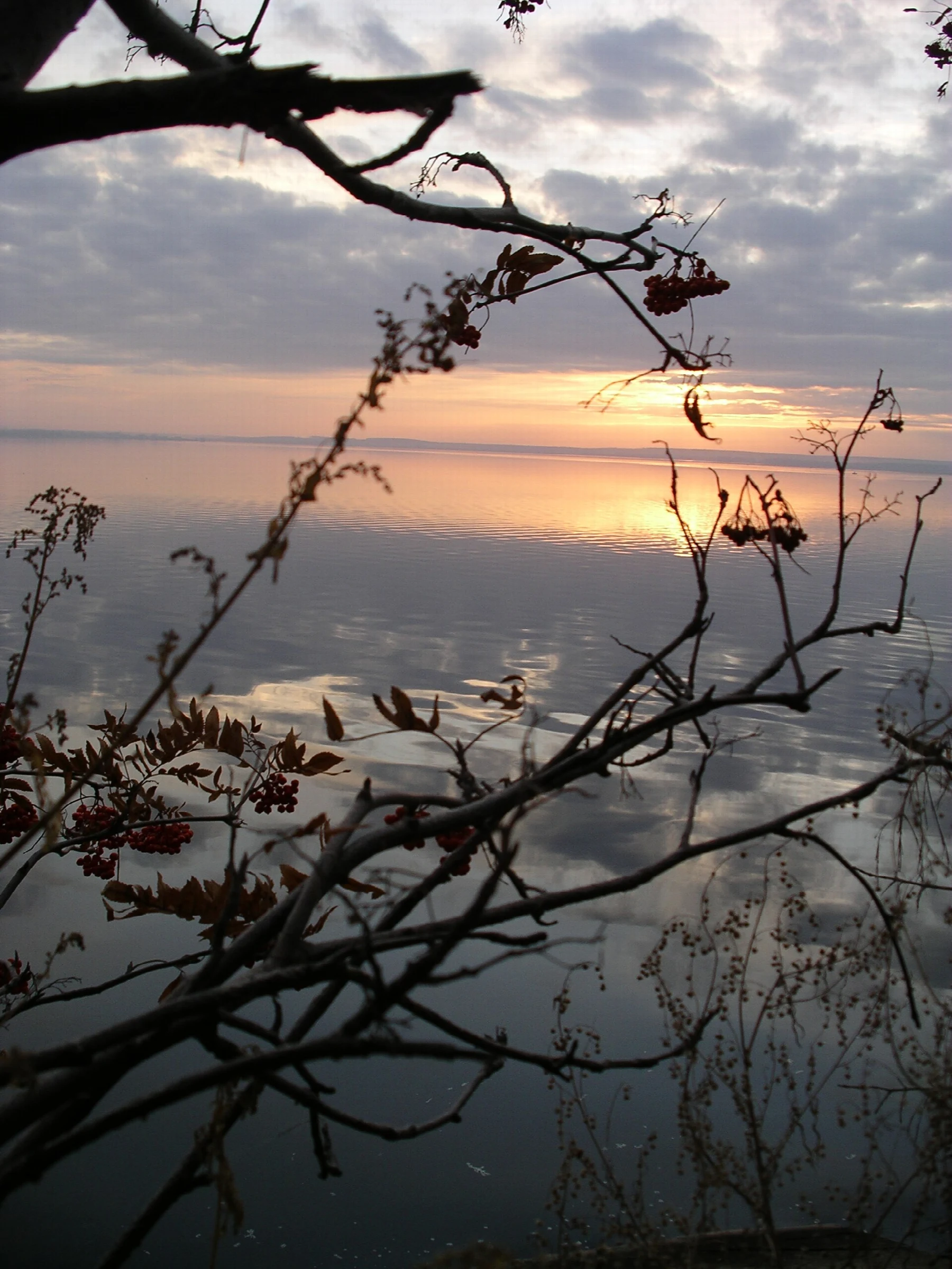 p. Amz, Chelyabinsk, Chelyabinskaya oblast', Russia