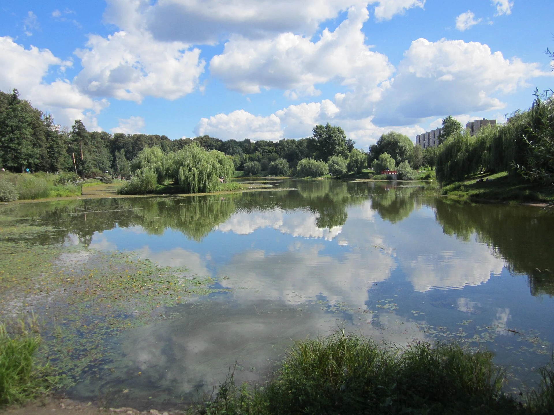 Babaevsky Pond in Losiny Ostrov National Park